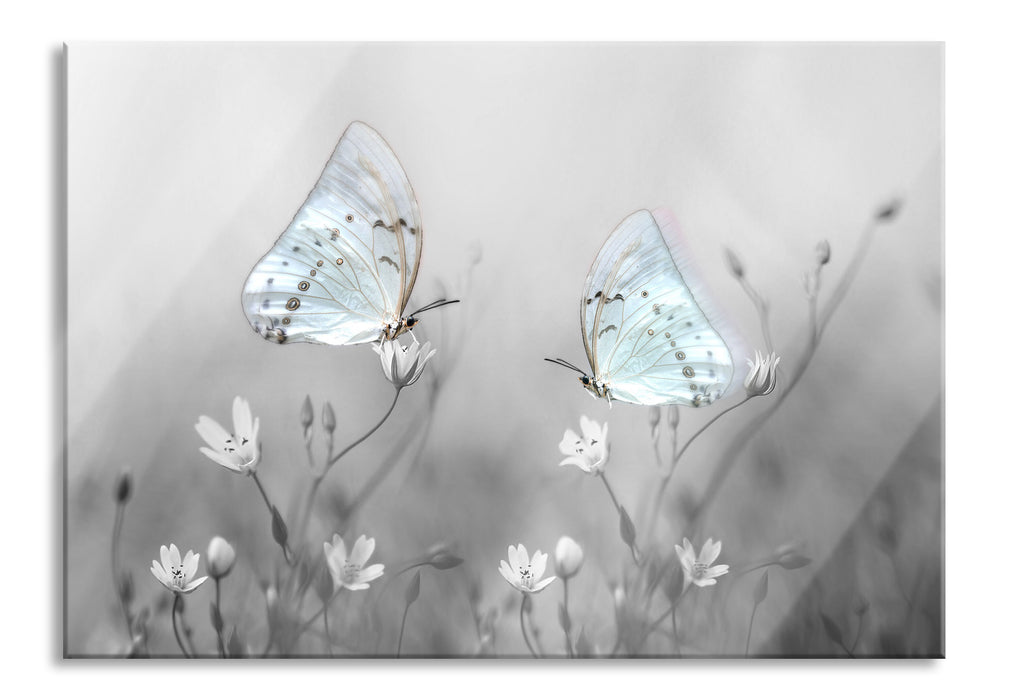 Pixxprint Schmetterling auf kleinen Blumen, Glasbild