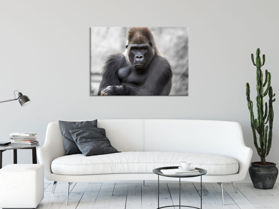 gelangweilter Gorilla, Glasbild