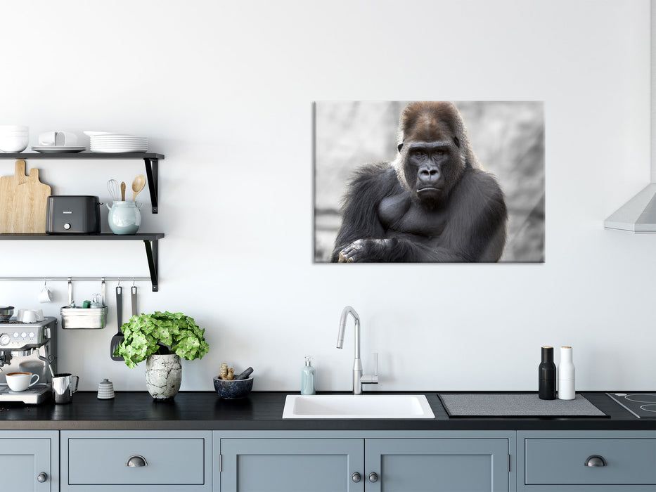 gelangweilter Gorilla, Glasbild