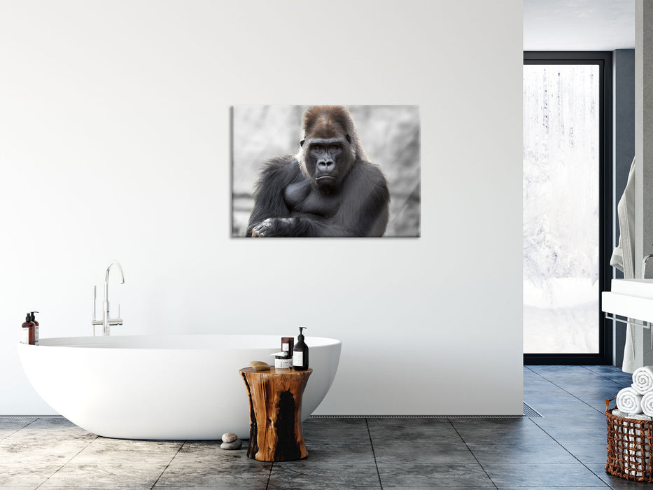 gelangweilter Gorilla, Glasbild