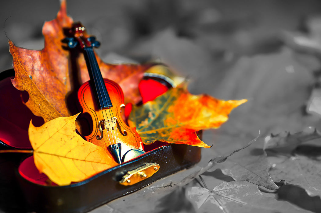 Violine umgeben von Blättern, Glasbild