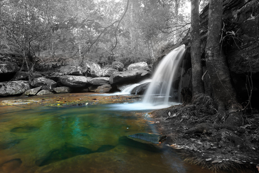 Wasserfall im Wald, Glasbild