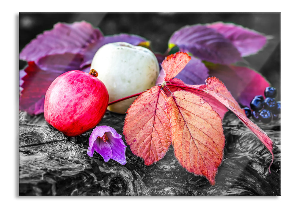 Äpfel und Blätter im Herbst, Glasbild