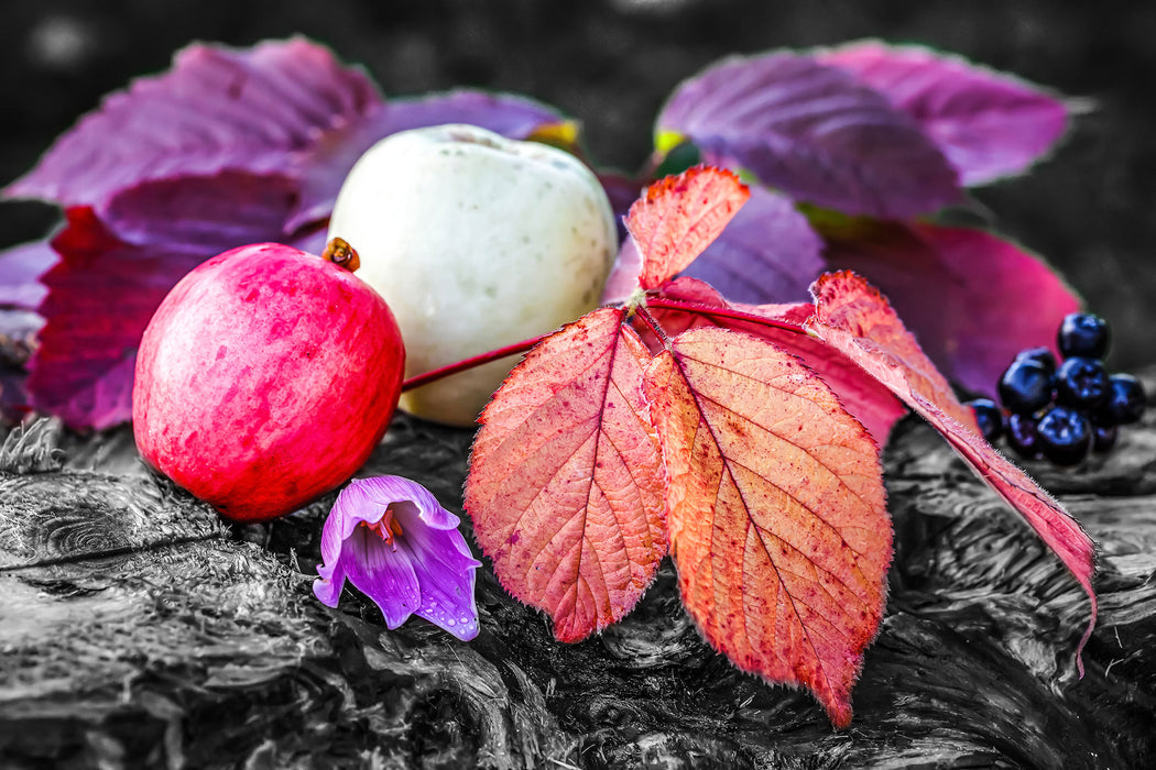 Äpfel und Blätter im Herbst, Glasbild