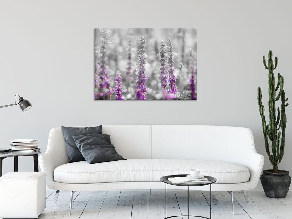 schöne violette Lavendelblüten, Glasbild