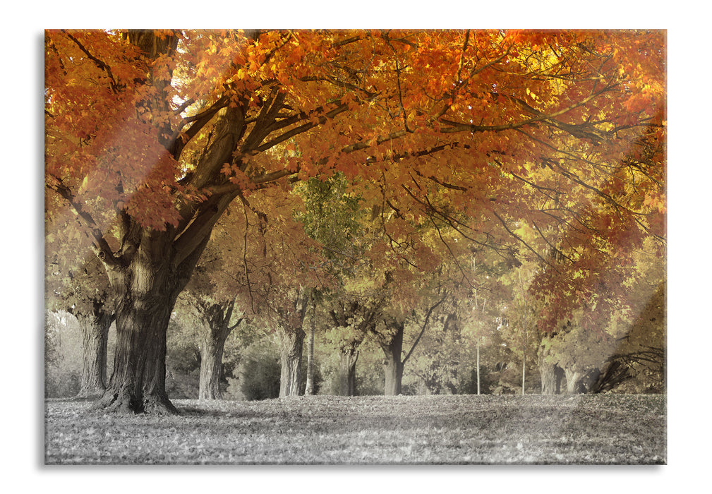 schöne Herbstlandschaft, Glasbild