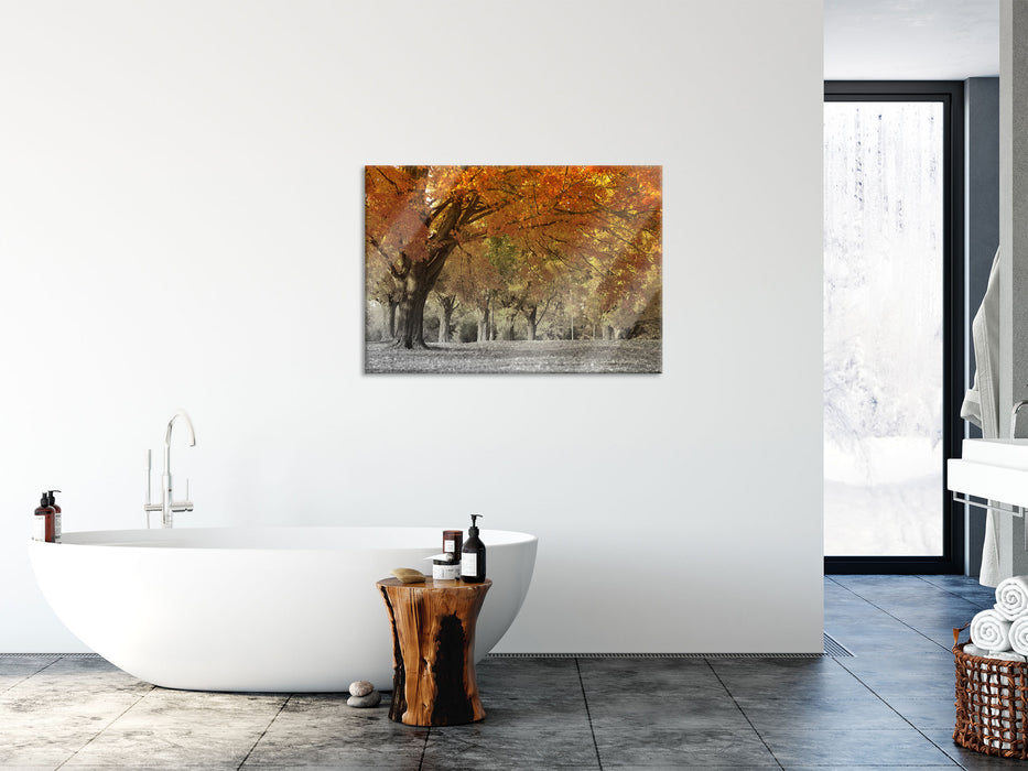 schöne Herbstlandschaft, Glasbild