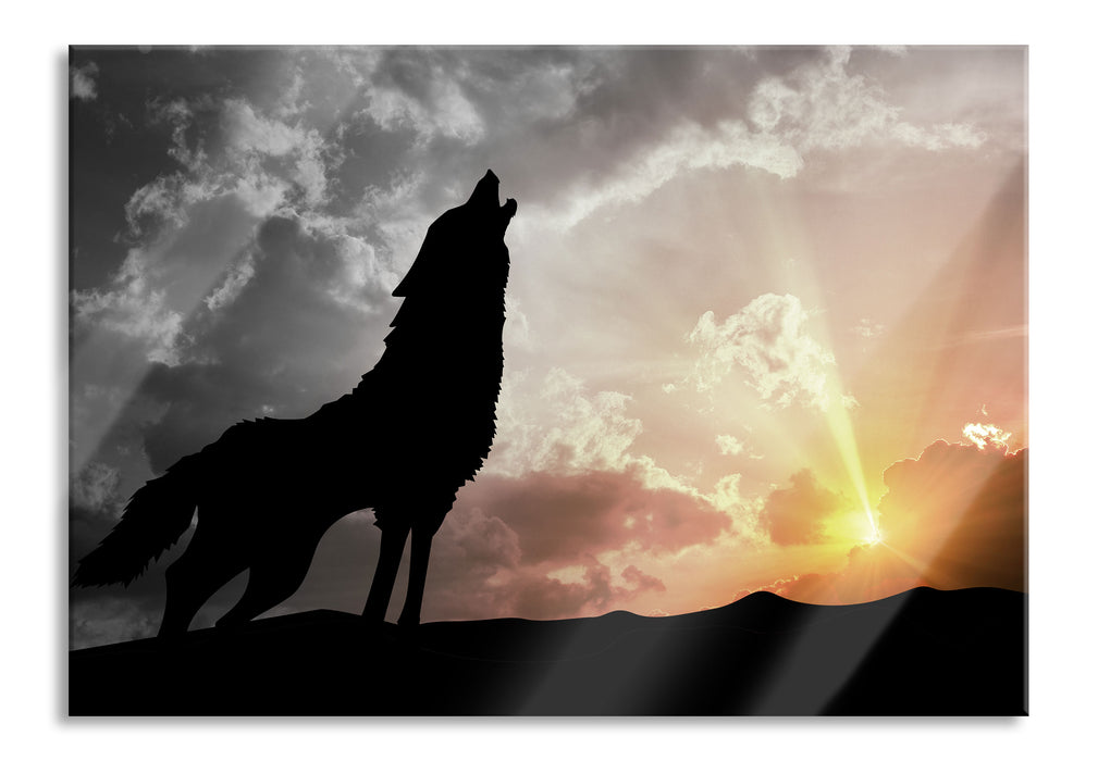 Pixxprint Wolf Heulen, Glasbild