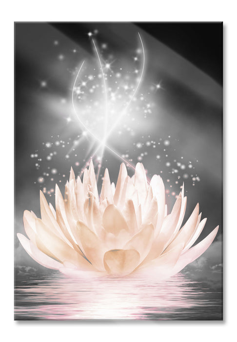 Pixxprint abstrakte Seerose, Glasbild