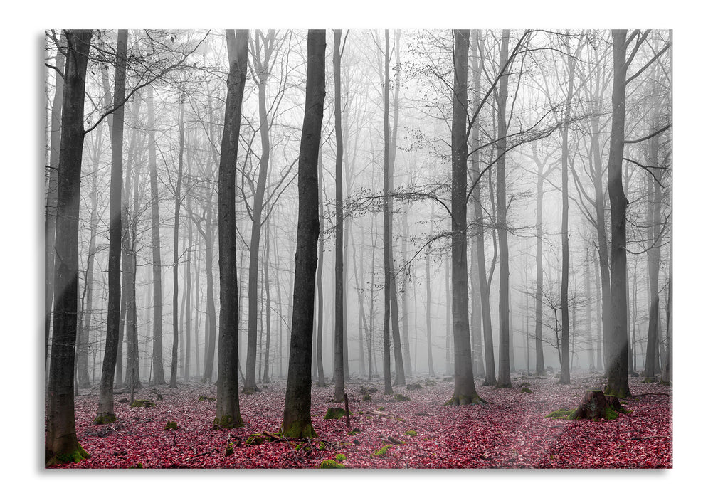 Pixxprint abstrakter Wald, Glasbild