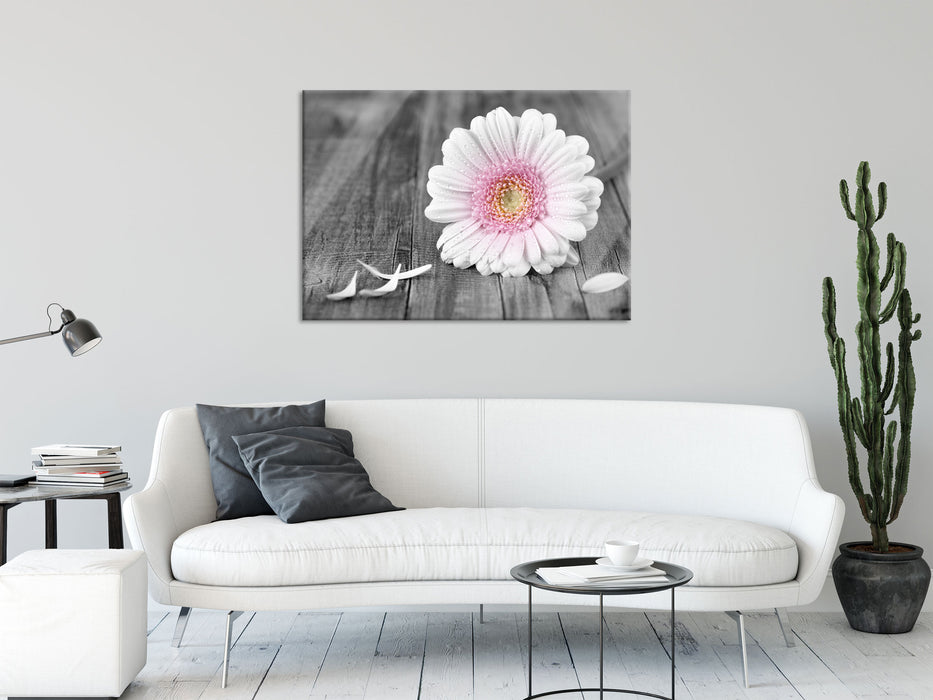 pinke Gerbera auf rustikalem Boden, Glasbild