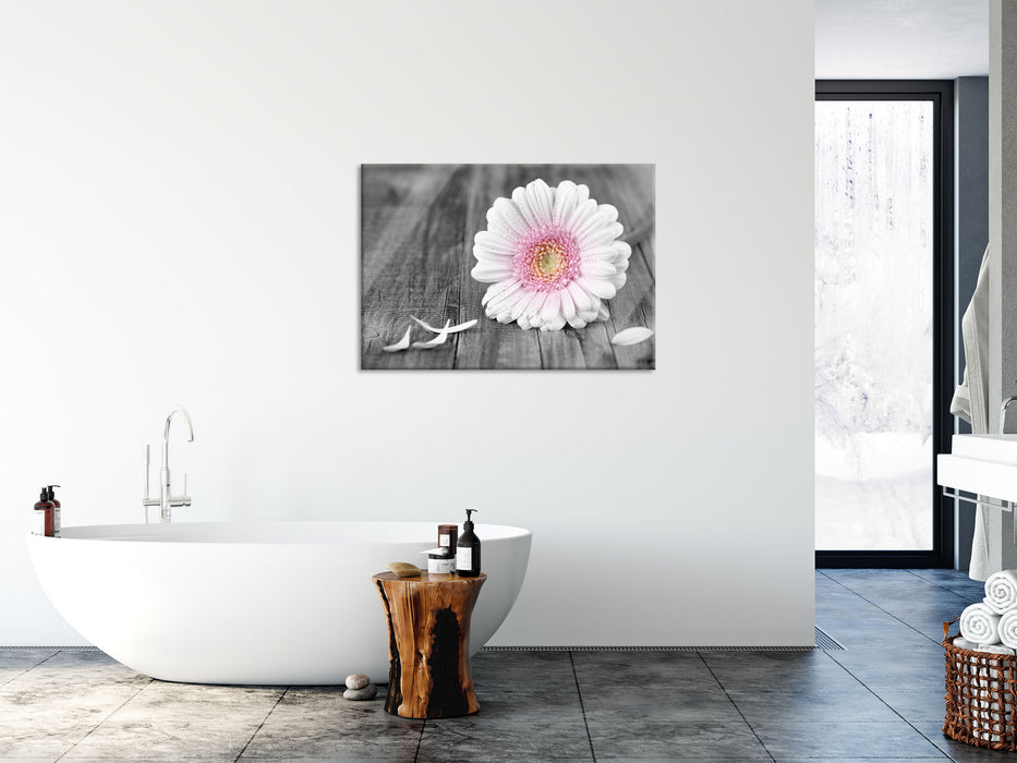 pinke Gerbera auf rustikalem Boden, Glasbild