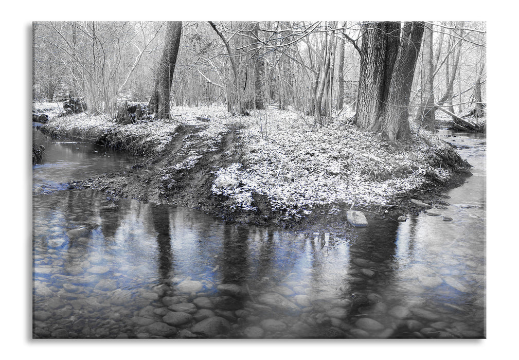 schneebedeckter Waldboden, Glasbild