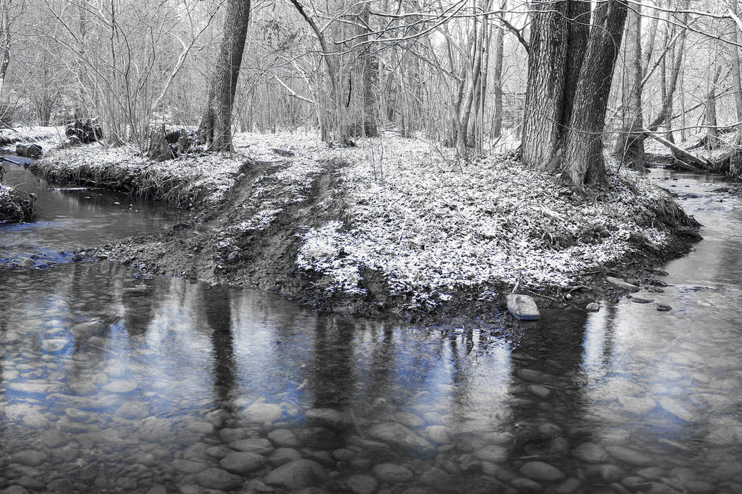 schneebedeckter Waldboden, Glasbild