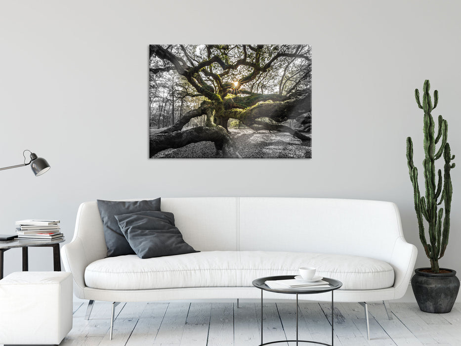 gigantisch verzweigter Baum, Glasbild