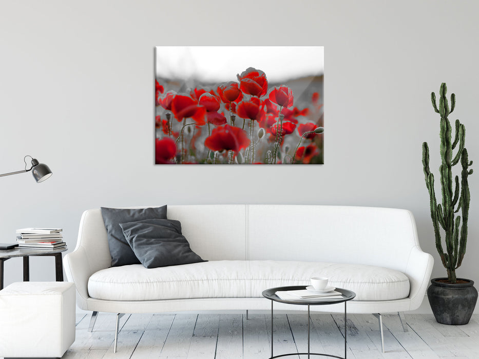 Feuriger Mohn, Glasbild