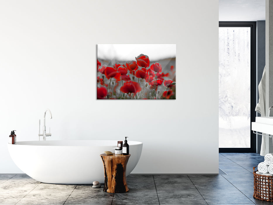 Feuriger Mohn, Glasbild