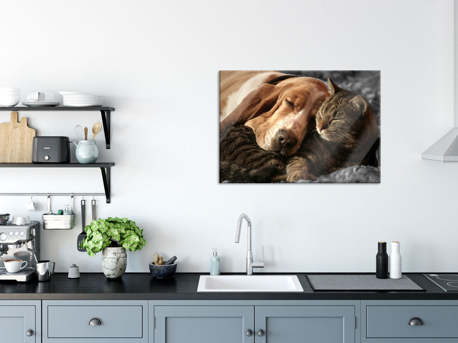 Katze und Hund kuschelnd, Glasbild