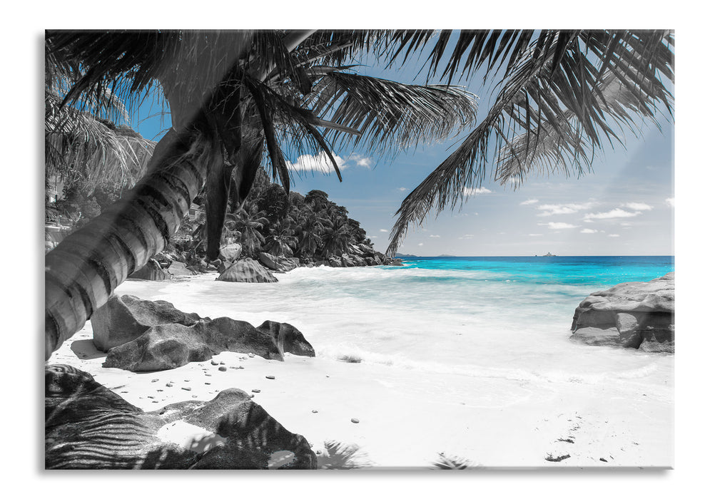 Pixxprint Palmenstrand Seychellen, Glasbild