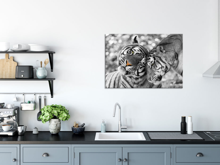 Zwei liebkosende Tiger, Glasbild