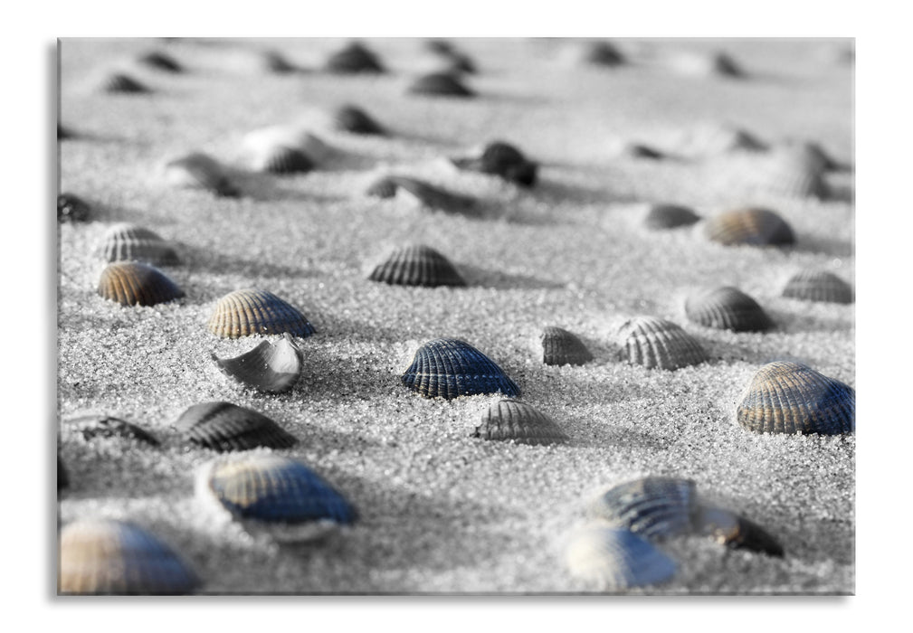 Muscheln im Sand, Glasbild