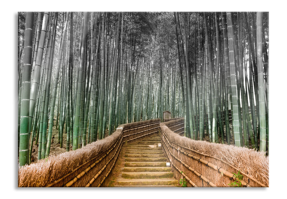 Kyoto Japan Bambuswald, Glasbild