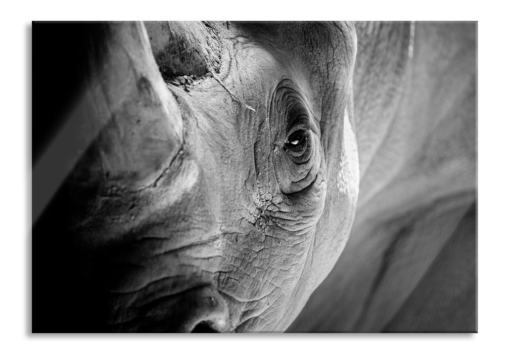 Nahaufnahme eines Nashorn Schwarz-weiß, Glasbild