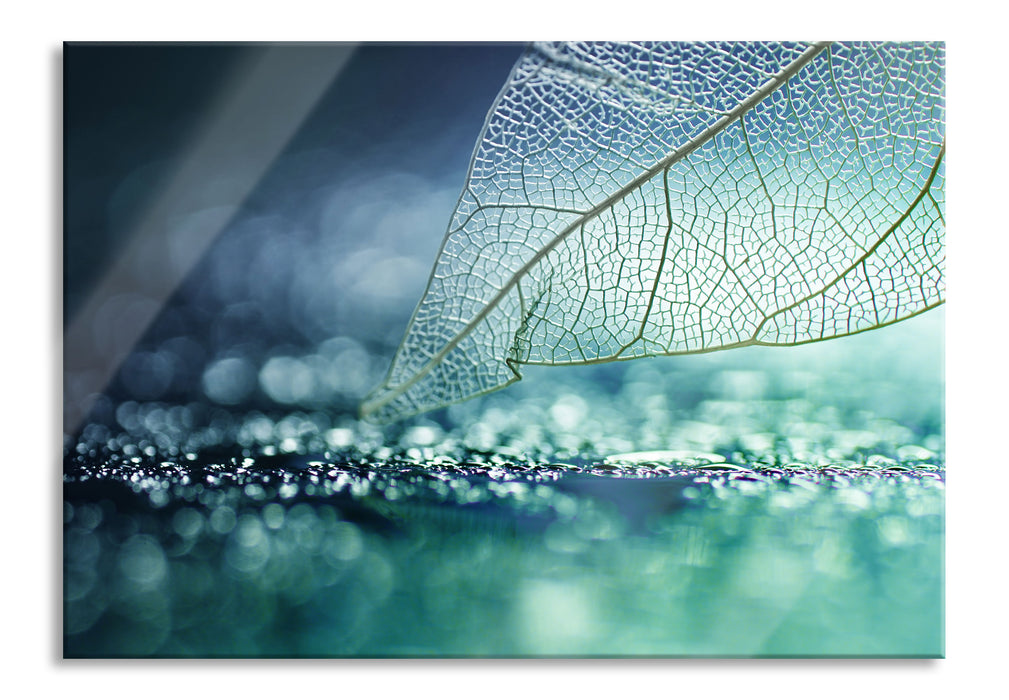 Nahaufnahme weißes Blattgerüst im Regen, Glasbild