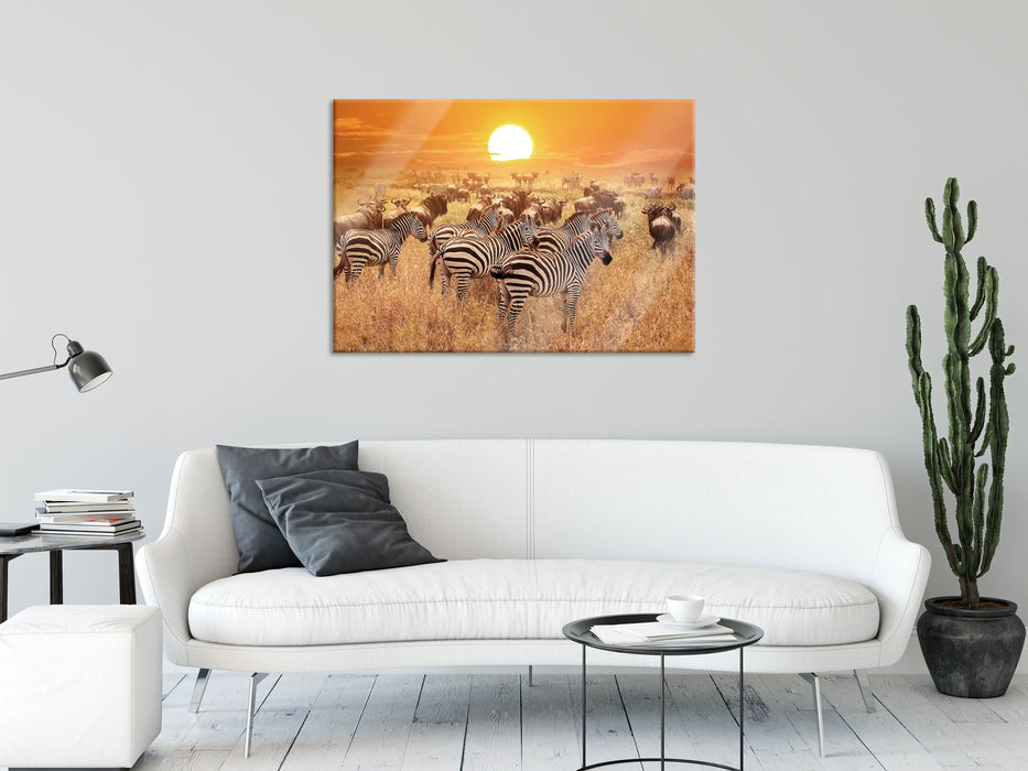 Zebraherde Savanne bei Sonnenuntergang, Glasbild