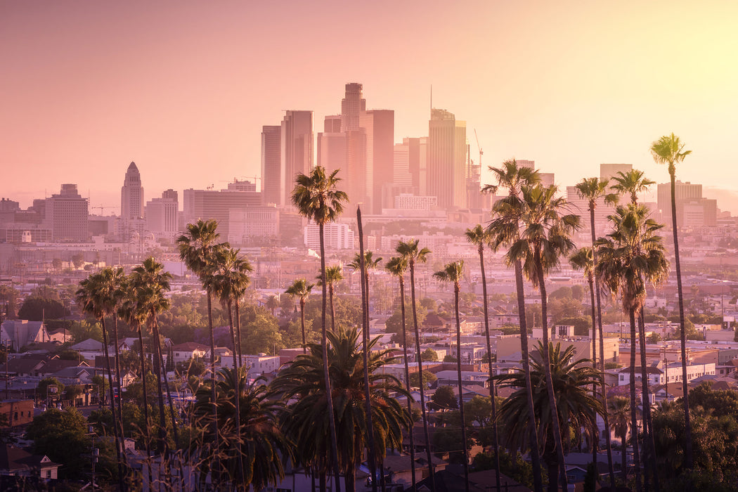 Palmen vor Skyline von Los Angeles, Glasbild