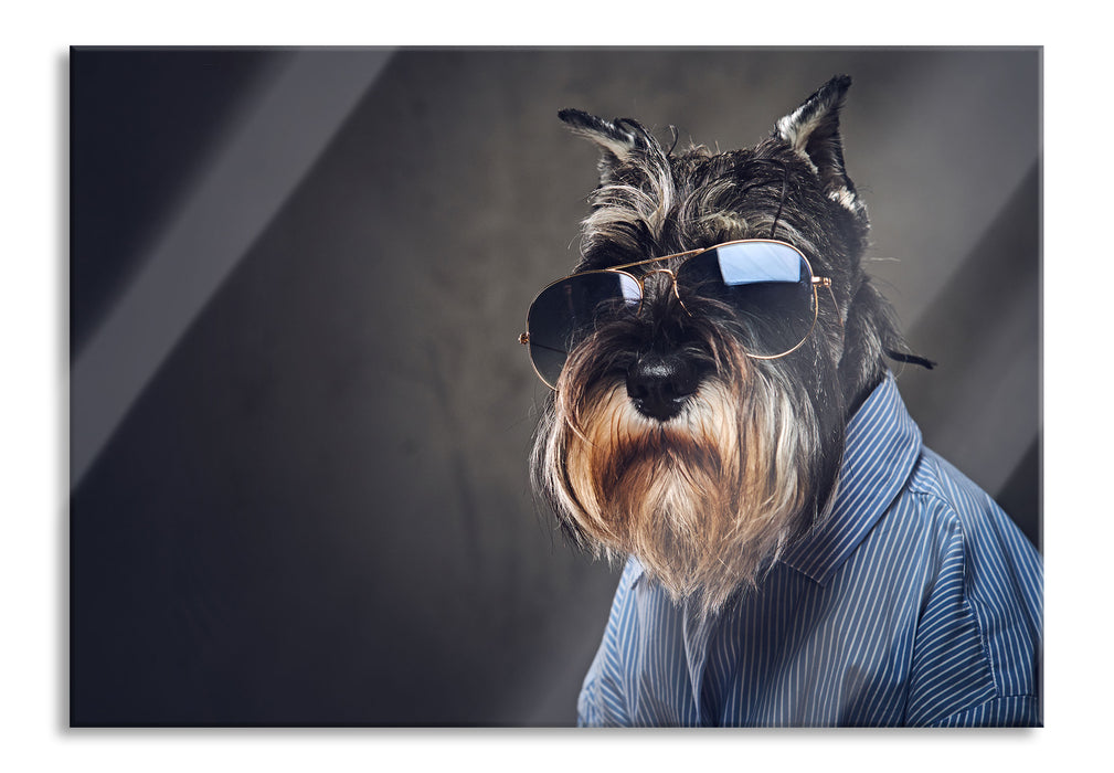 Pixxprint Lustiger Hund mit Hemd und Sonnenbrille, Glasbild