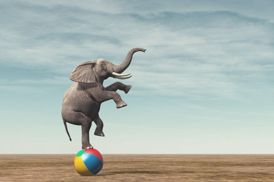 Elefant in der Wüste balanciert auf Ball, Glasbild