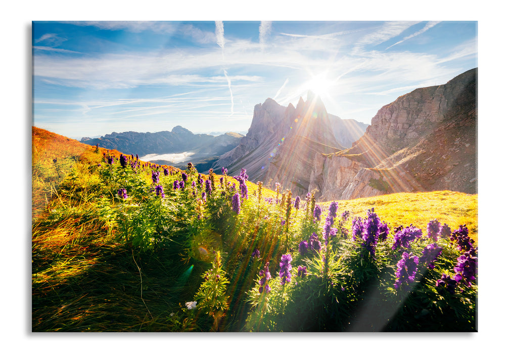 Pixxprint Bergwiese im Puez-Geisler Naturpark, Glasbild