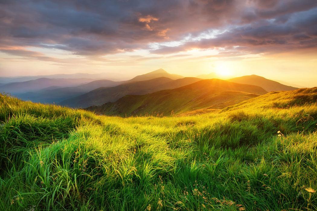 Sommerliche Bergwiese Sonnenuntergang, Glasbild