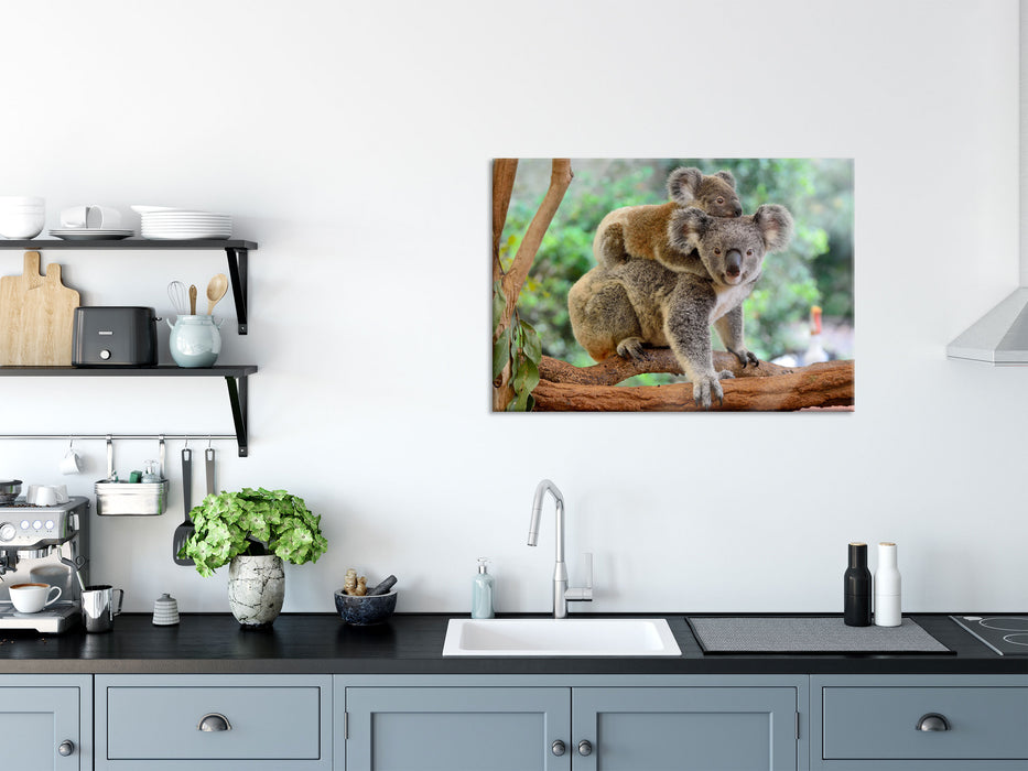 Koala Mutter mit Kind auf dem Rücken, Glasbild