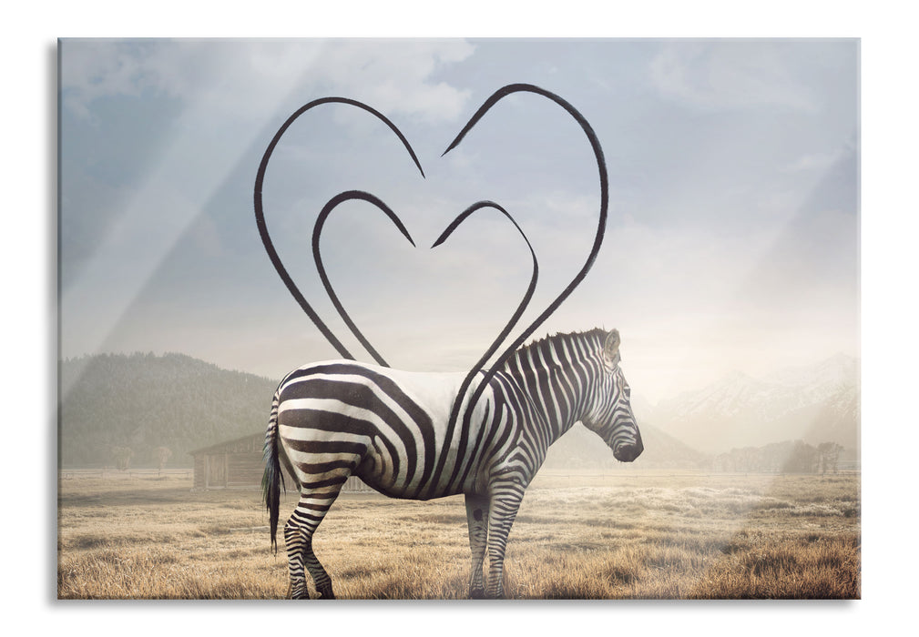 Pixxprint Zebra mit Herzbotschaft in der Savanne, Glasbild