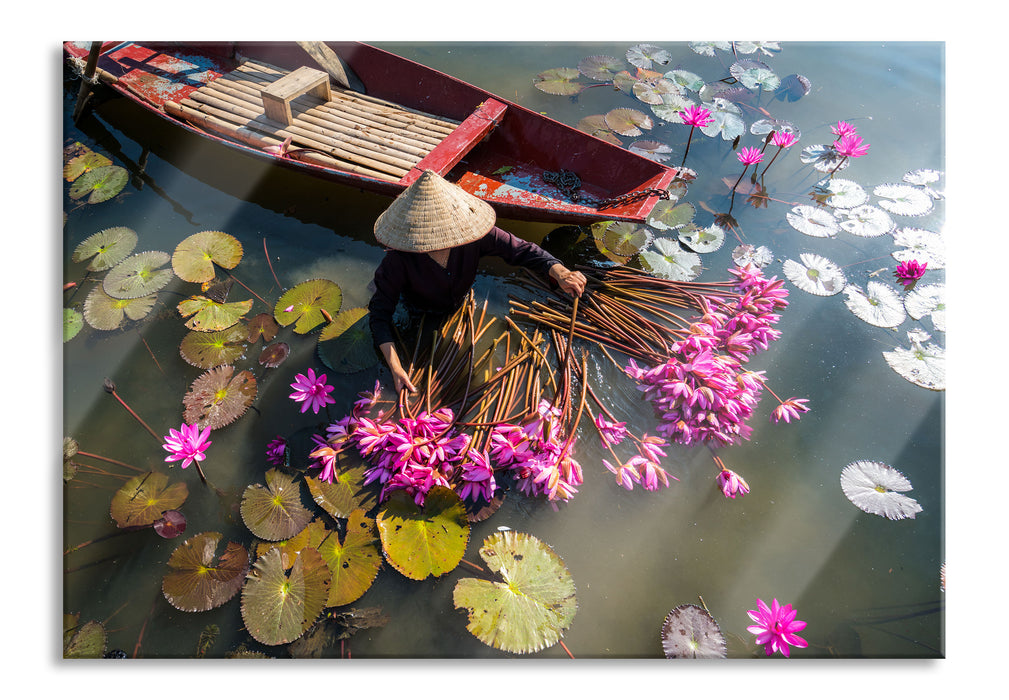 Wasserlilienernte mit Boot in Vietnam, Glasbild