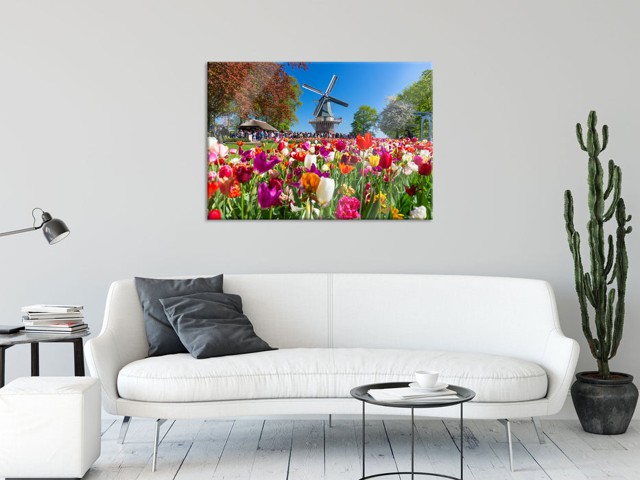 Holländisches Tulpenmeer vor Windmühle, Glasbild