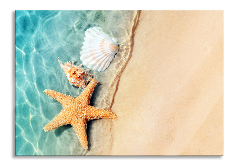 Seestern und Muscheln am Strand, Glasbild