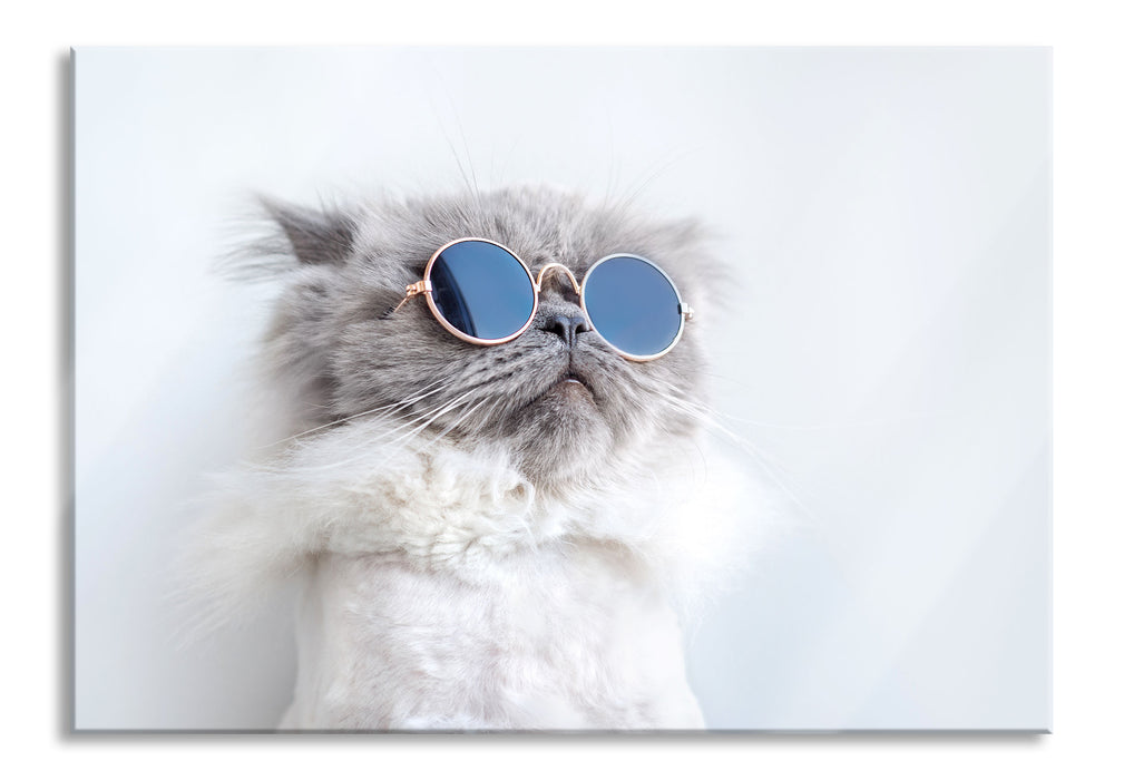 Pixxprint Coole Katze mit runder Sonnenbrille, Glasbild