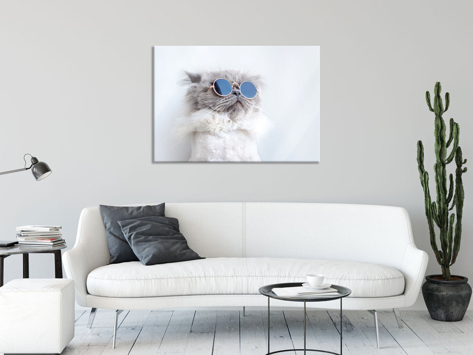 Coole Katze mit runder Sonnenbrille, Glasbild