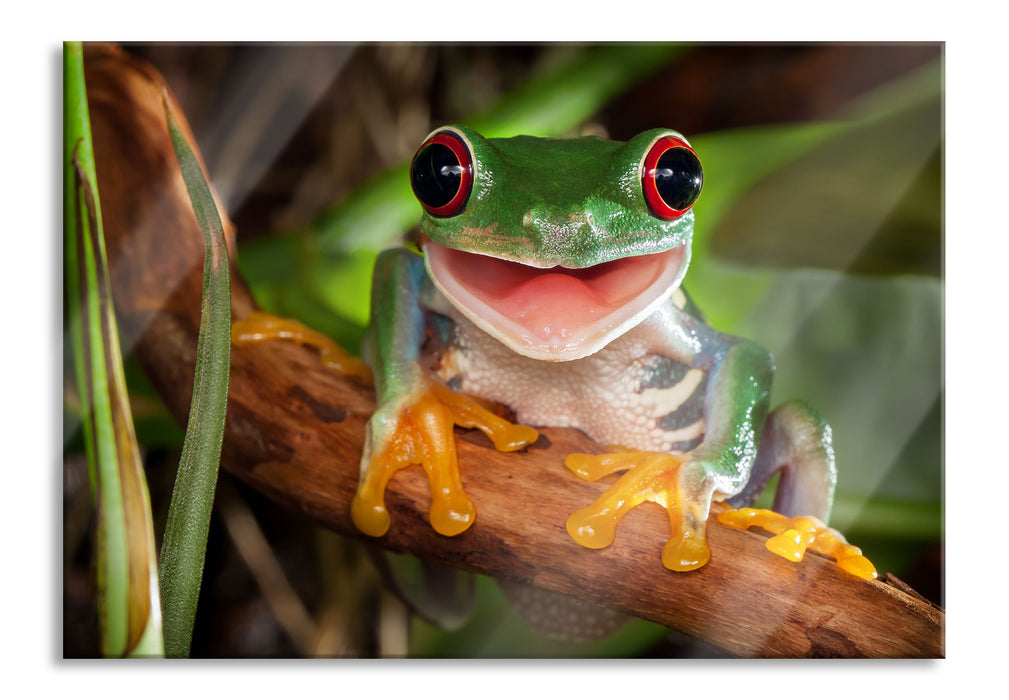 Lachender Frosch mit roten Augen auf Ast, Glasbild