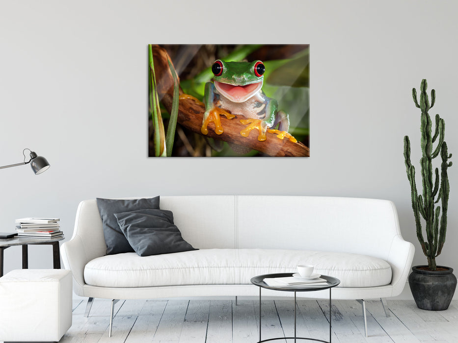 Lachender Frosch mit roten Augen auf Ast, Glasbild