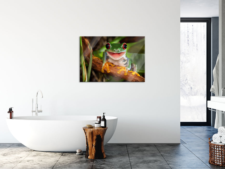 Lachender Frosch mit roten Augen auf Ast, Glasbild