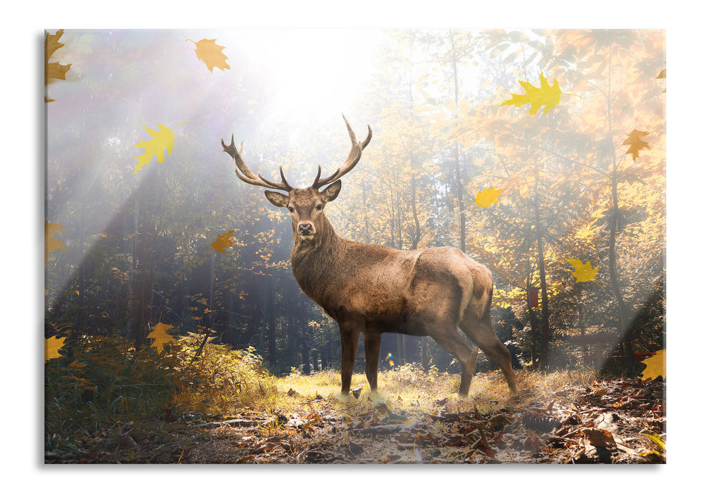 Pixxprint Hirsch im Wald mit fallenden Blättern, Glasbild