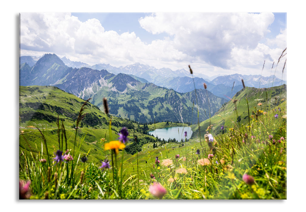 Pixxprint Wiesenblumen in den Bergen, Glasbild