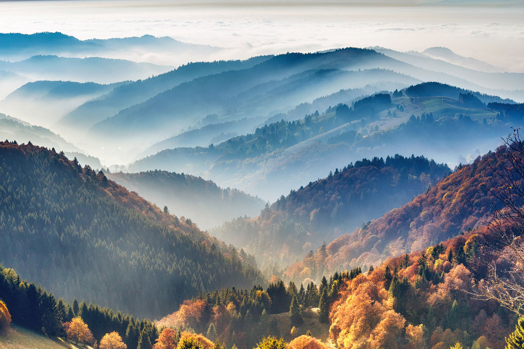 Nebelige Berglandschaft im Herbst, Glasbild