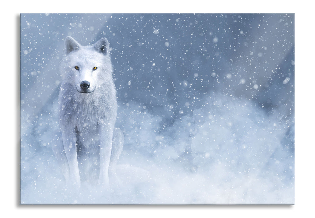 Pixxprint Majestätischer weißer Wolf im Schnee, Glasbild