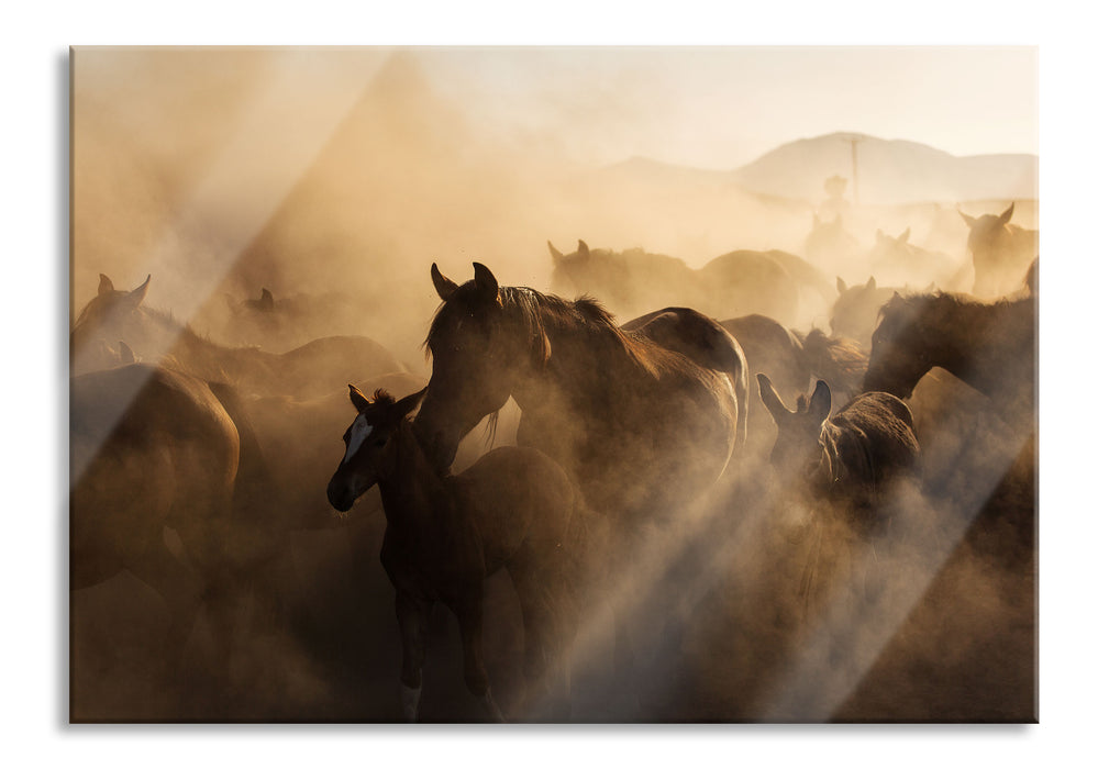 Pferdeherde im Staub bei Sonnenuntergang, Glasbild