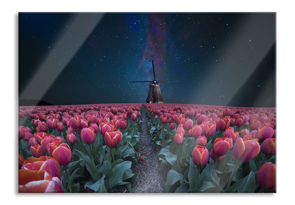 Pixxprint Tulpenfeld mit Windmühle bei Nacht, Glasbild